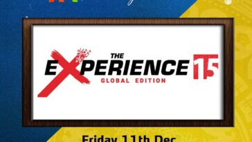 Experience 15